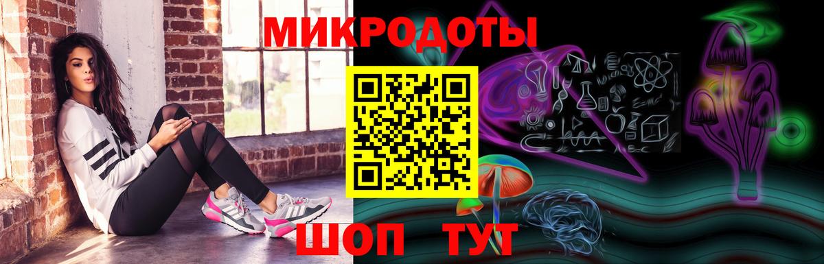 Артём  Галлюциногенные грибы прущие грибы  Вход с VPN 